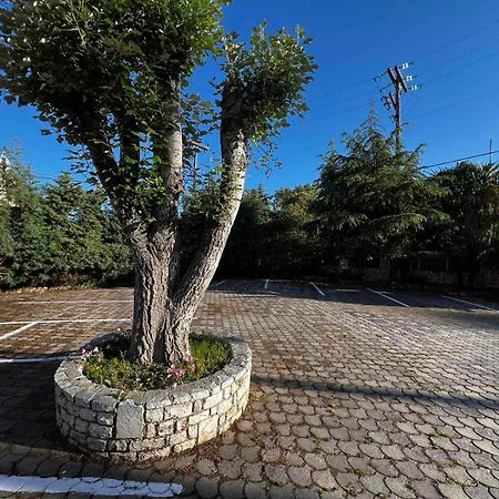 Angela Corfu Daire Potamós Dış mekan fotoğraf