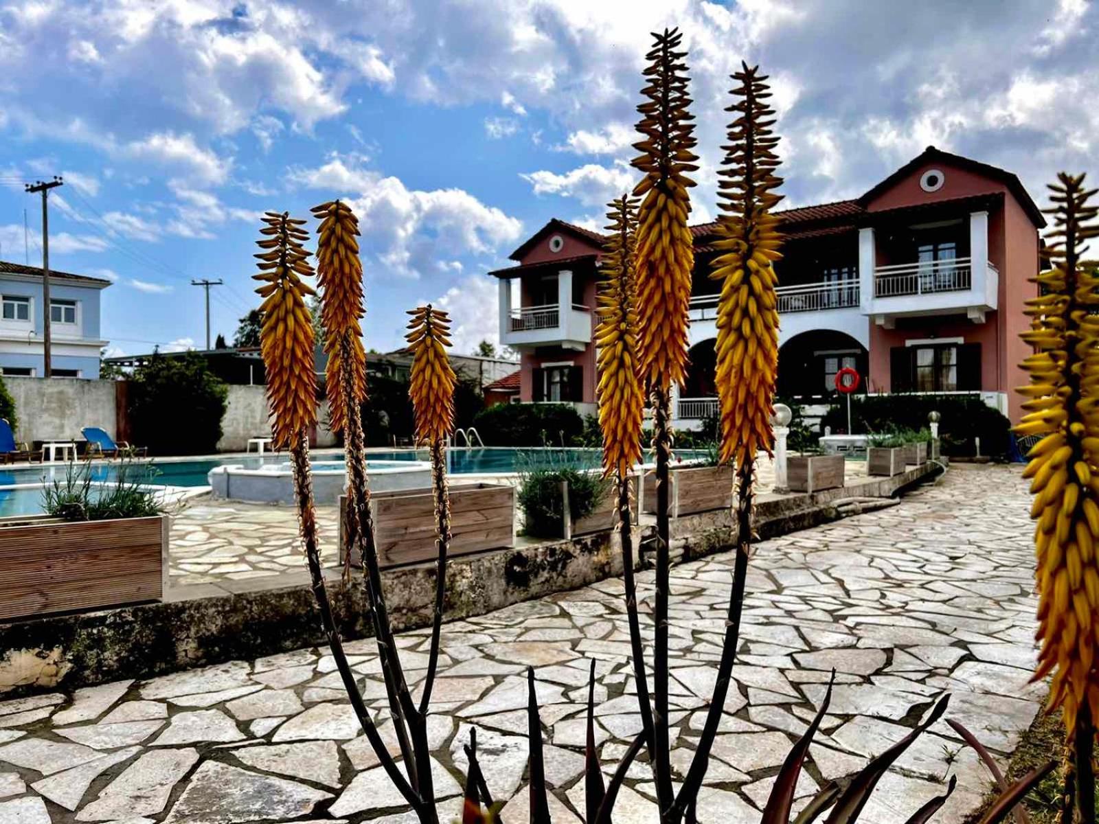 Angela Corfu Daire Potamós Dış mekan fotoğraf