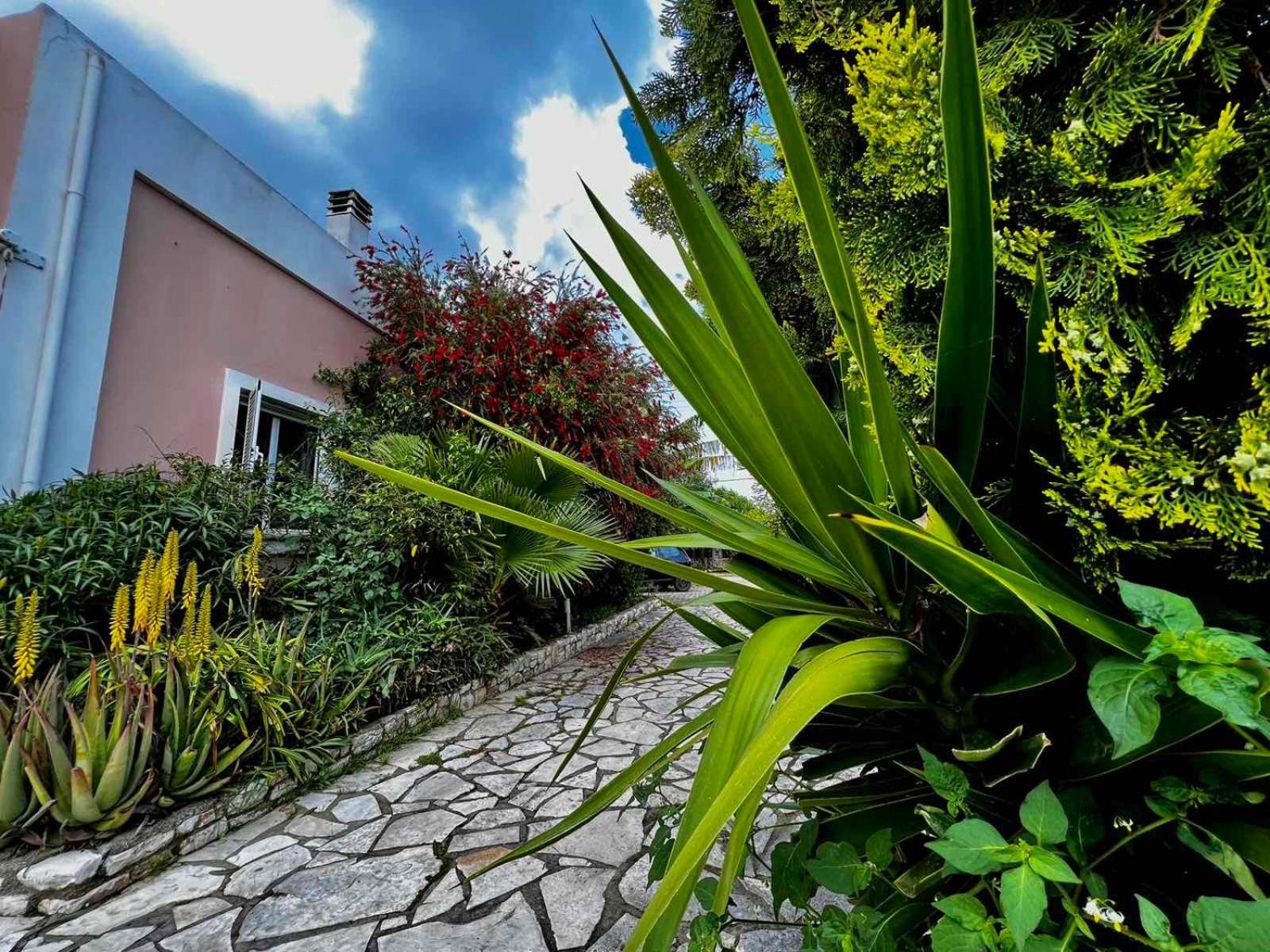 Angela Corfu Daire Potamós Dış mekan fotoğraf