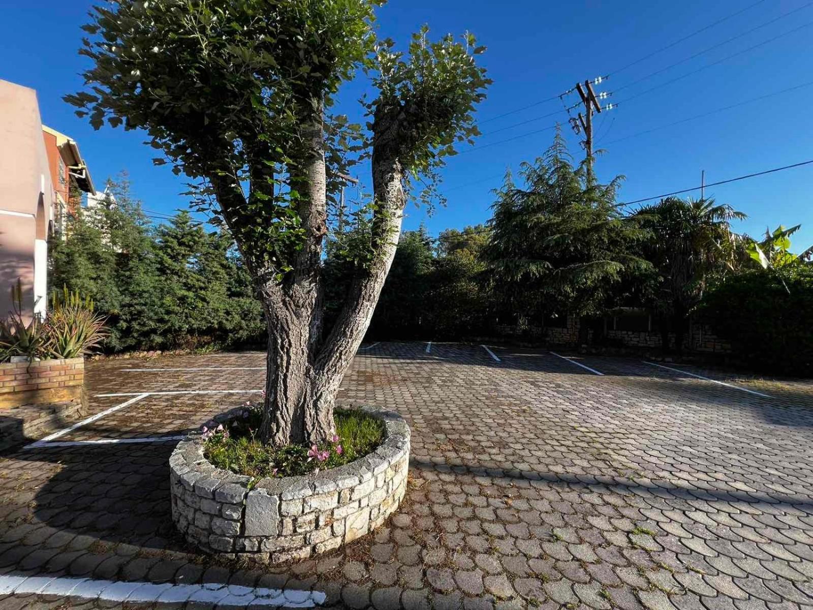 Angela Corfu Daire Potamós Dış mekan fotoğraf